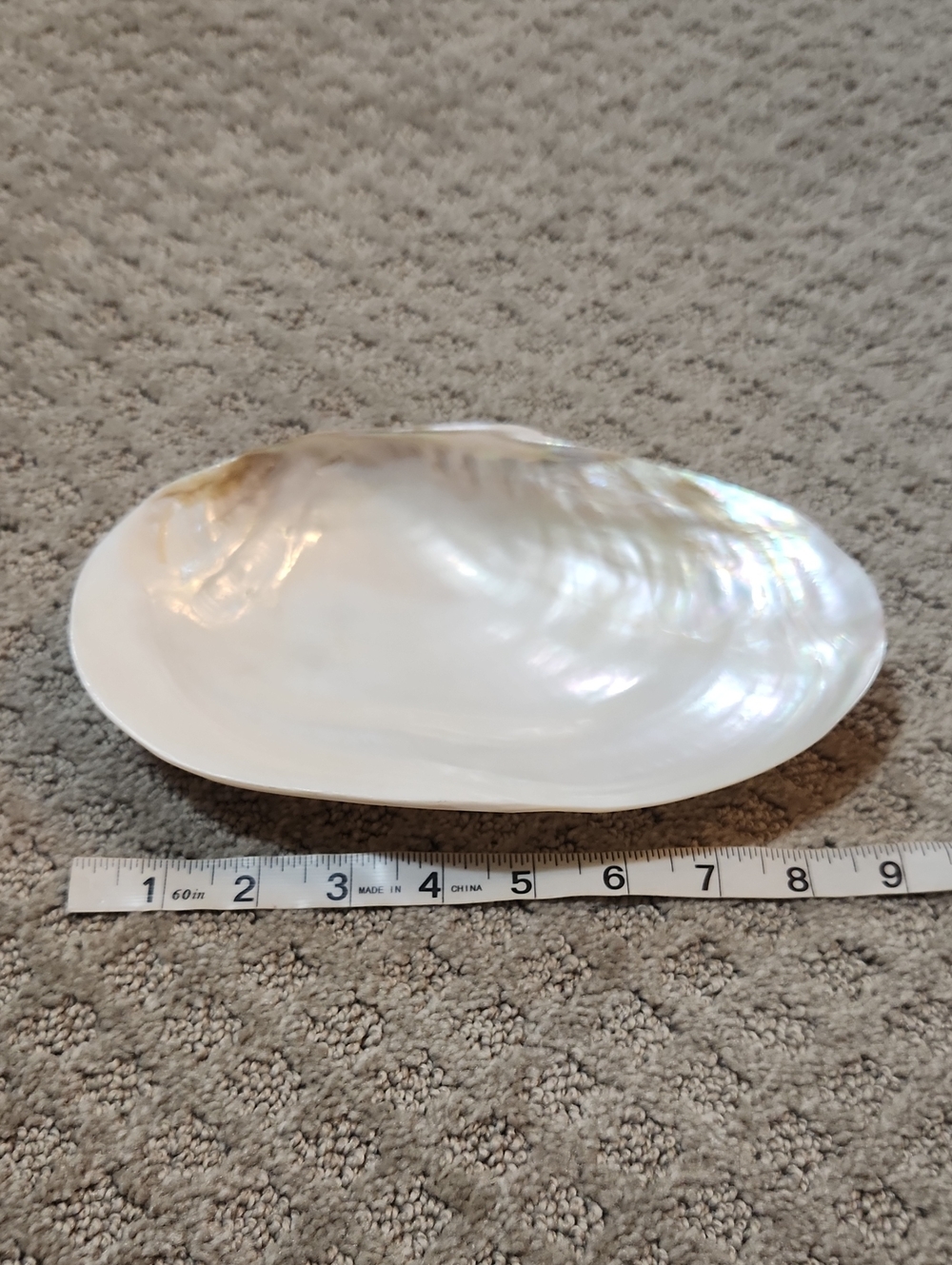 Shell Decor Iridescent Mother-of-Pearl Decorative Bowl Creamy White Iridescence - Picture 11 of 12